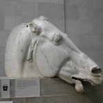Another little horse